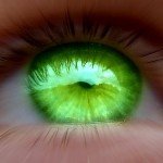 A closeup of a bright neon green eye
