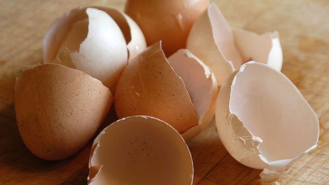 A pile of eggshells lay on a wooden table
