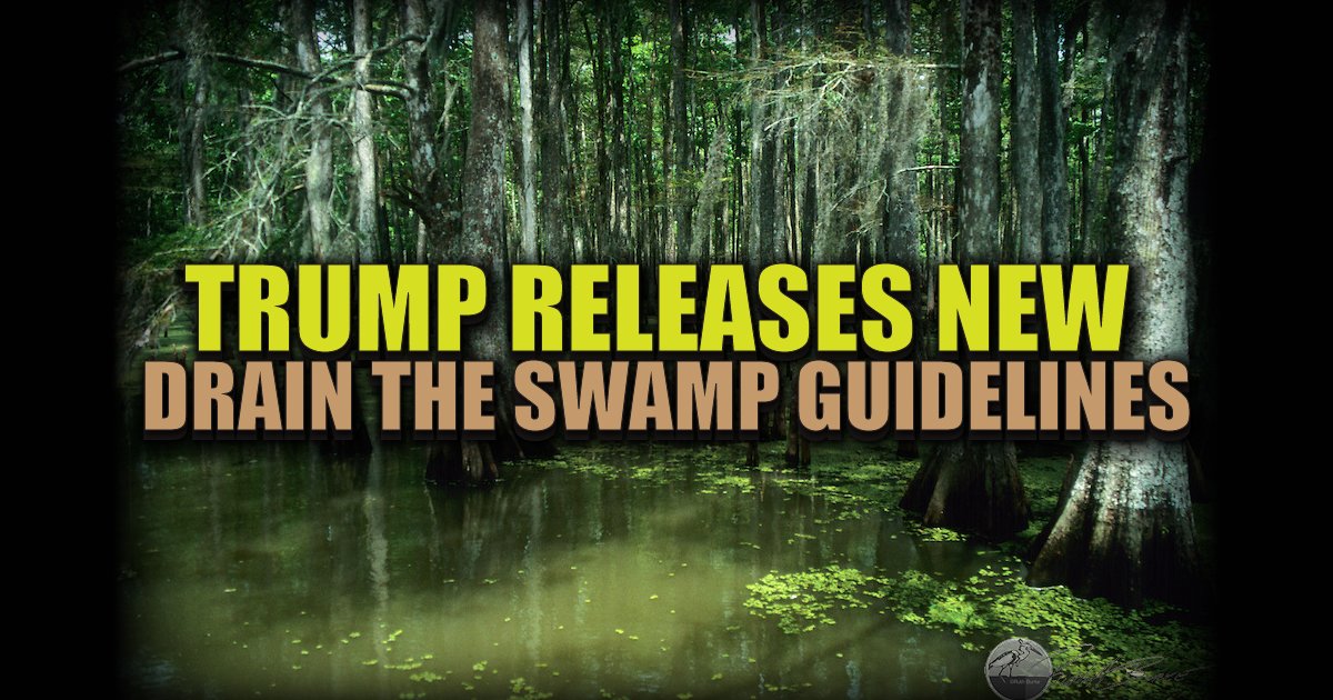 Drain The Swamp Meaning Politics